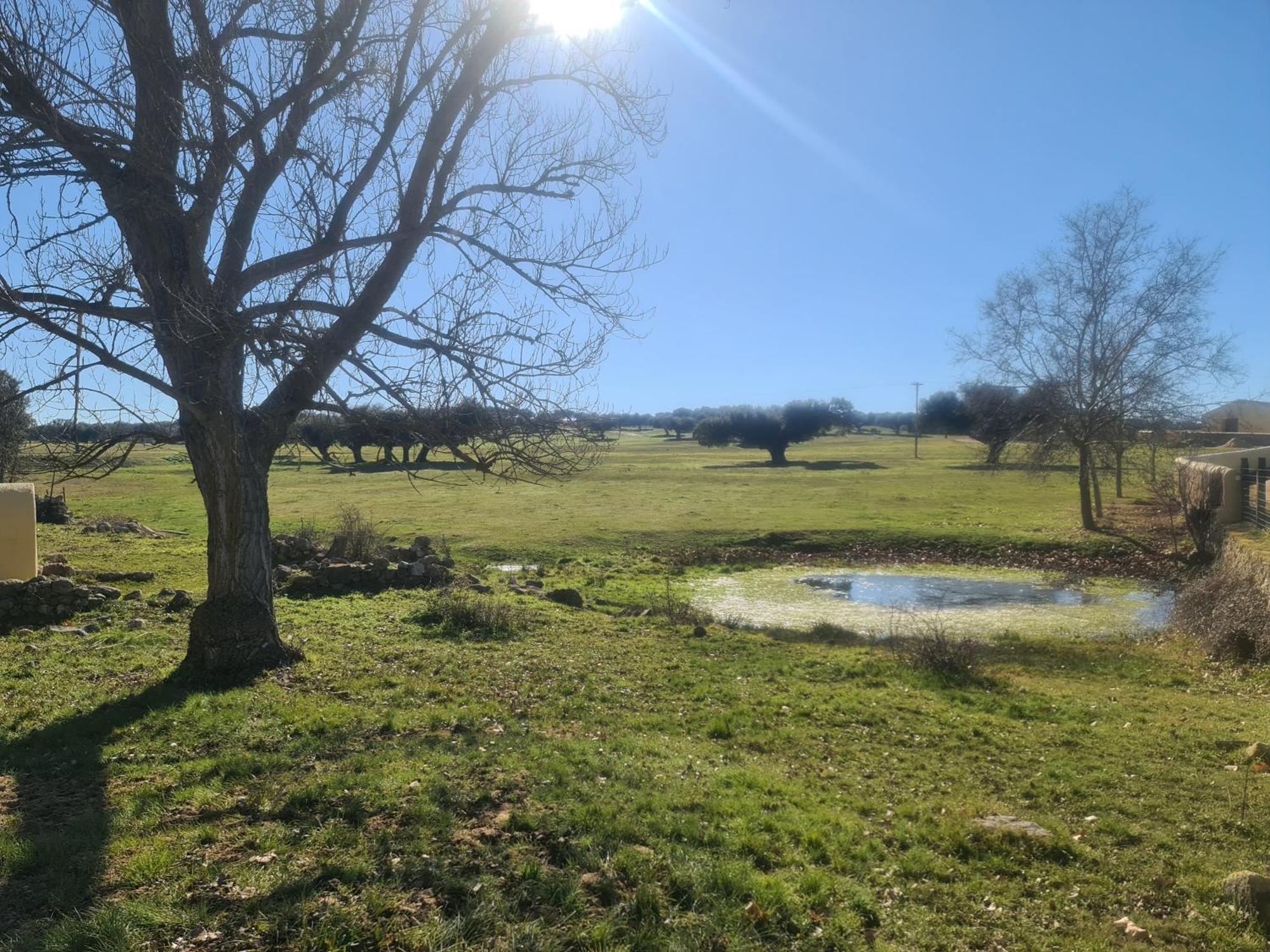 Casa Rural Palacio Conde De Aldana Con Piscina Entre Encinares Y Dehesas Terradillos Exterior foto